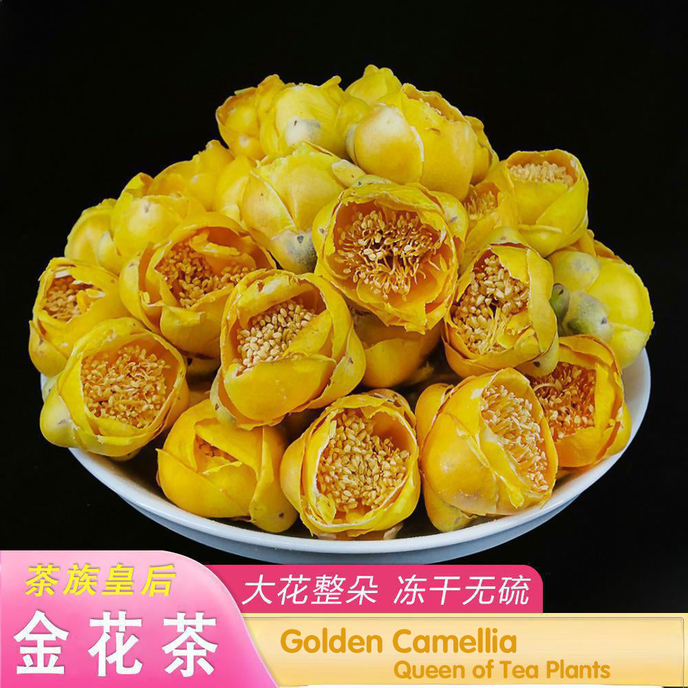 Golden Camellia,Queen of Tea Plants