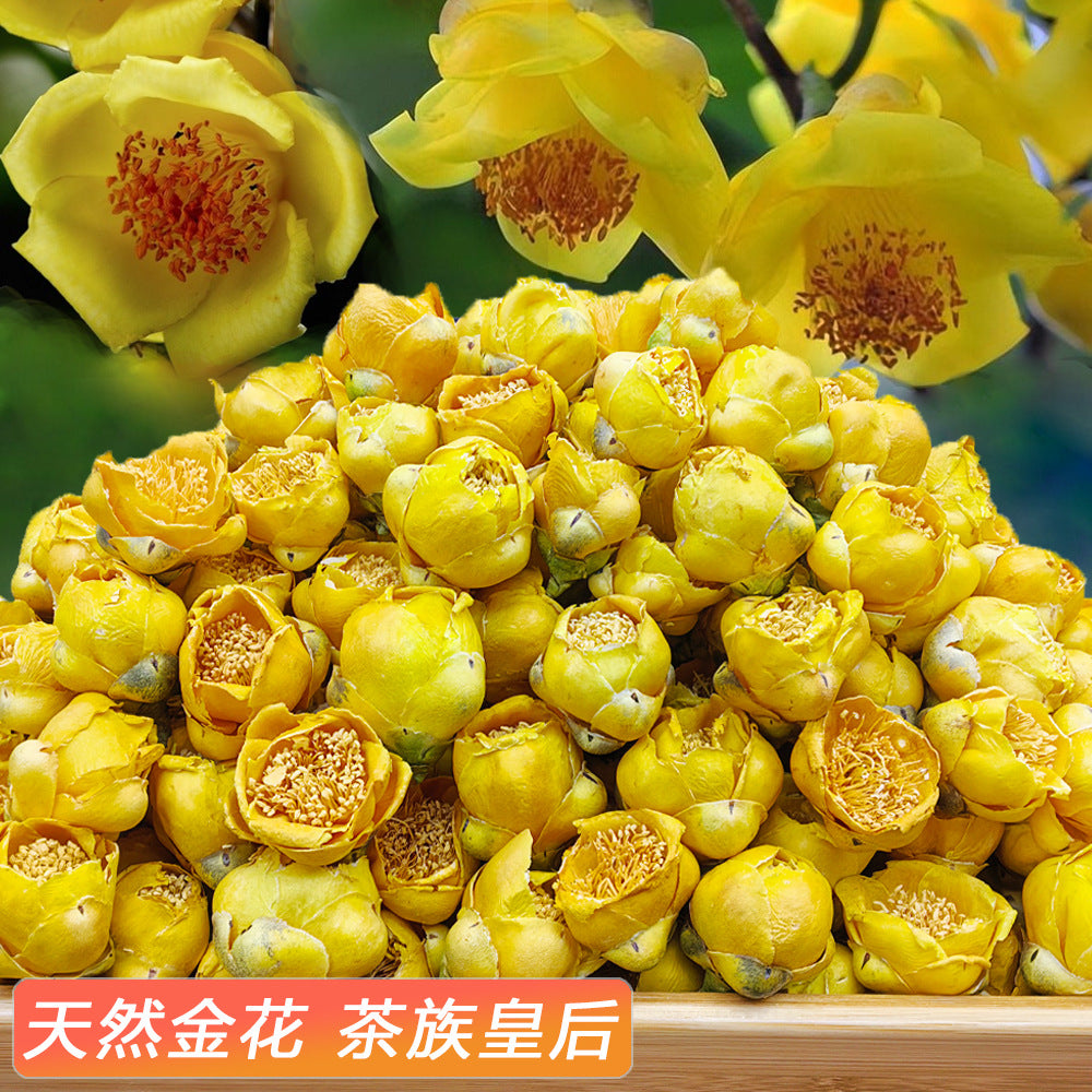 Golden Camellia,Queen of Tea Plants