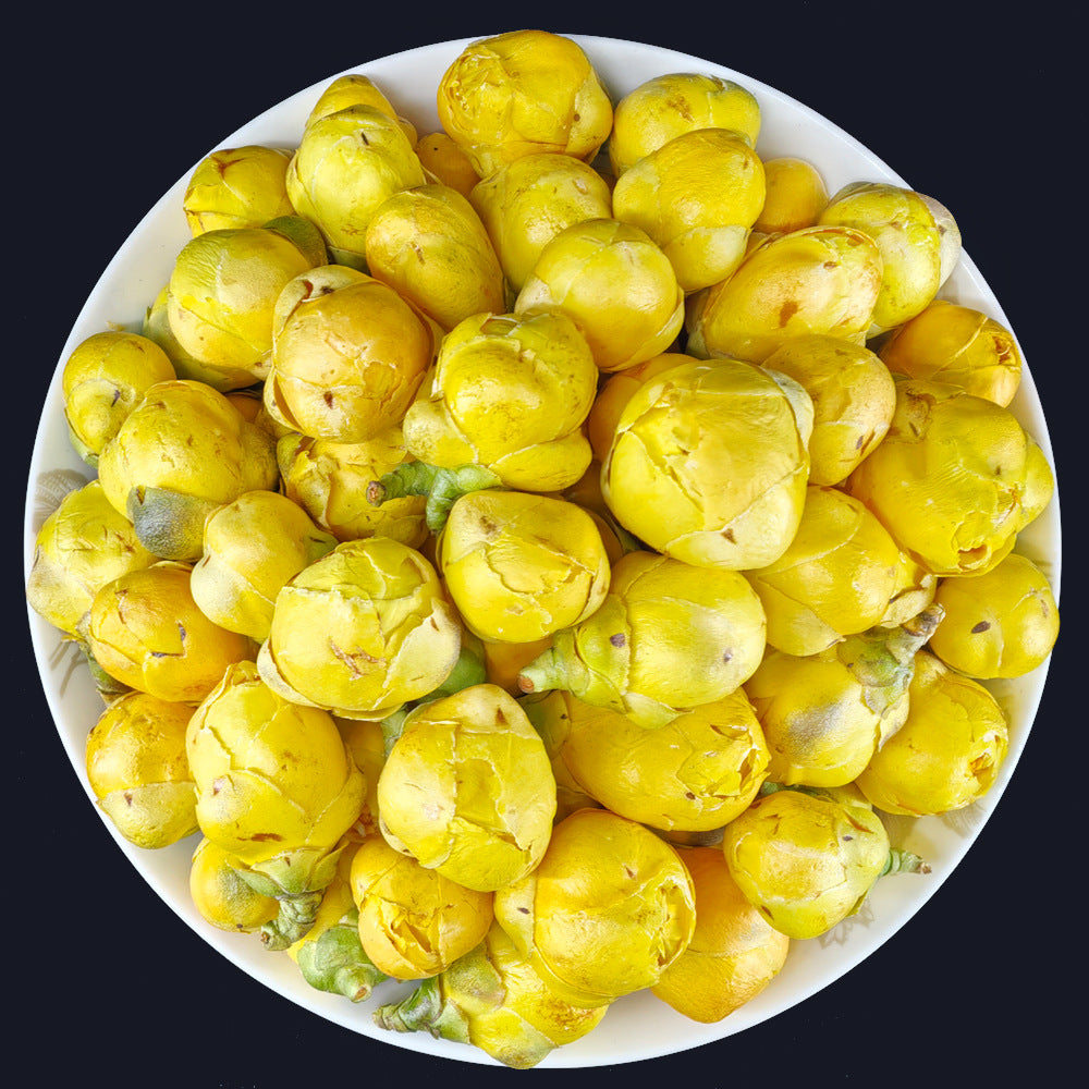 Golden Camellia,Queen of Tea Plants