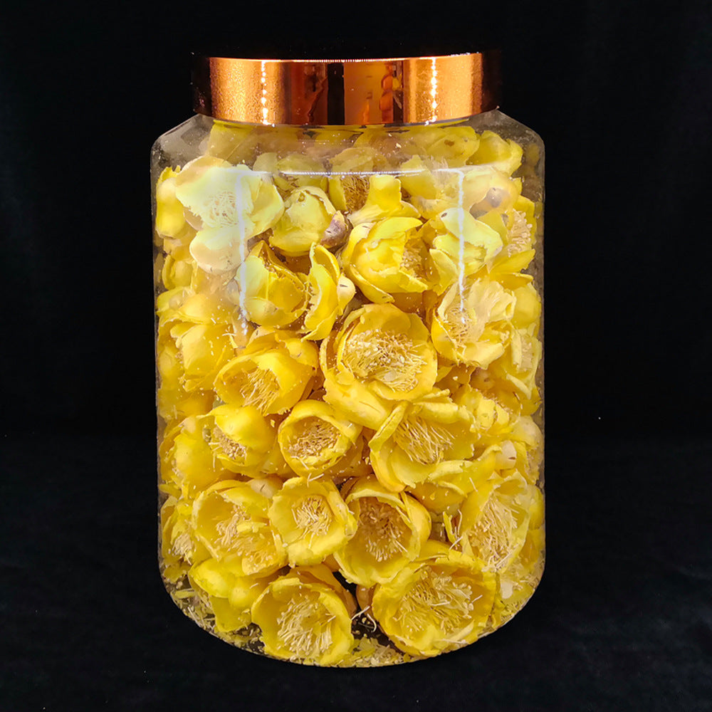 Golden Camellia,Queen of Tea Plants